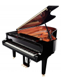 C6X (Polished Ebony), зображення 4